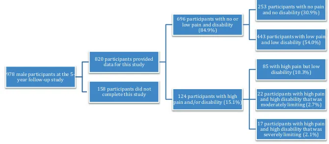 FIGURE 1. Flow diagram showing the number of participants based on low back pain intensity and/or disability.