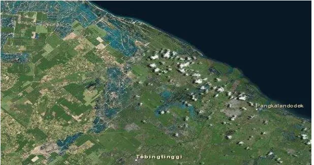 Gambar 3. Visualisasi wilayah pesisir Serdang Bedagai. 