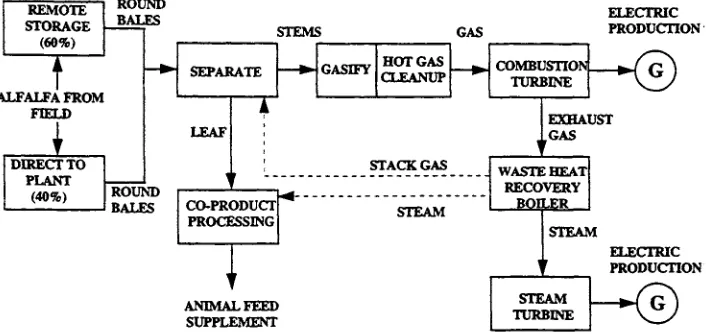 FIGURE 14.3 Integrated biomass production-conversion system for growth and processing of 