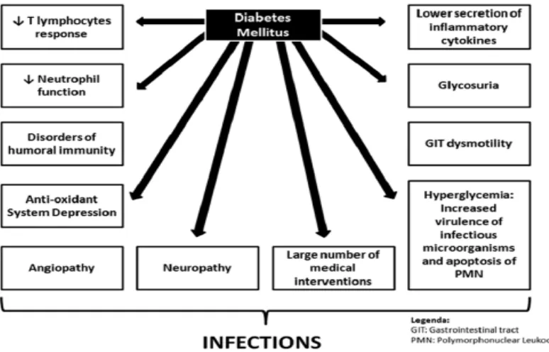 Gambar 5. Skema Disfungsi Imun pada Pasien DM.( Casquiero J et al,2012) 