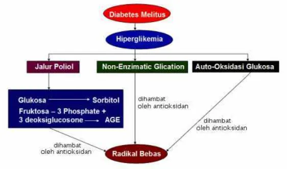 Gambar 1.1 Skema hubungan antara DM, radikal bebas, dan antioksidan 