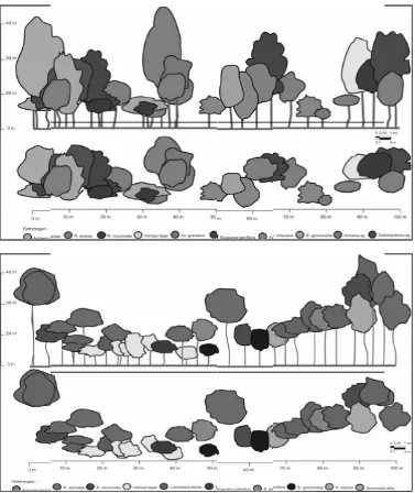 Gambar 10. Diagram Profil Vegetasi 2 Lokasi Contoh Areal Penelitian 
