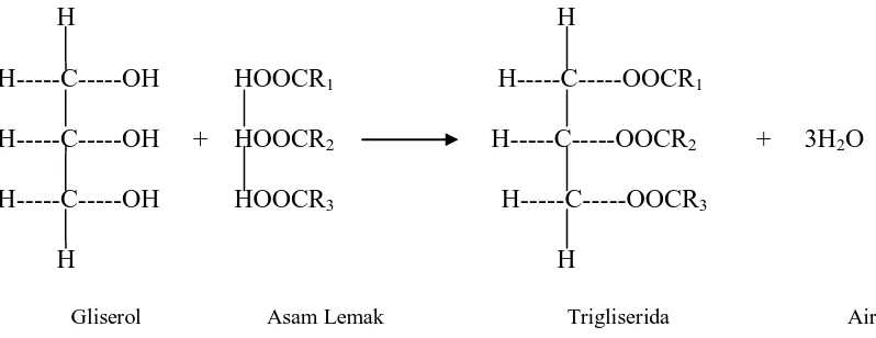 Gambar 2.1. Reaksi Pembentukan Trigliserida 