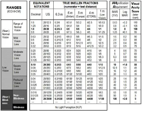 Tabel 2.1. VAS (Visual Acuity Score) 