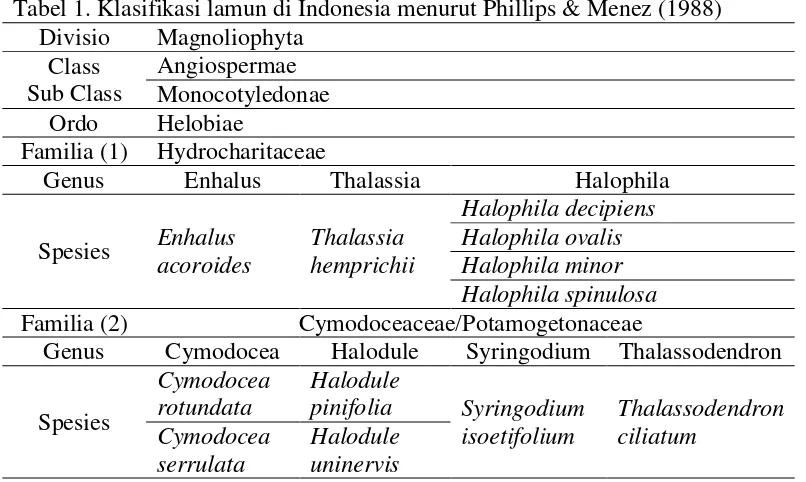 Tabel 1. Klasifikasi lamun di Indonesia menurut Phillips & Menez (1988) 