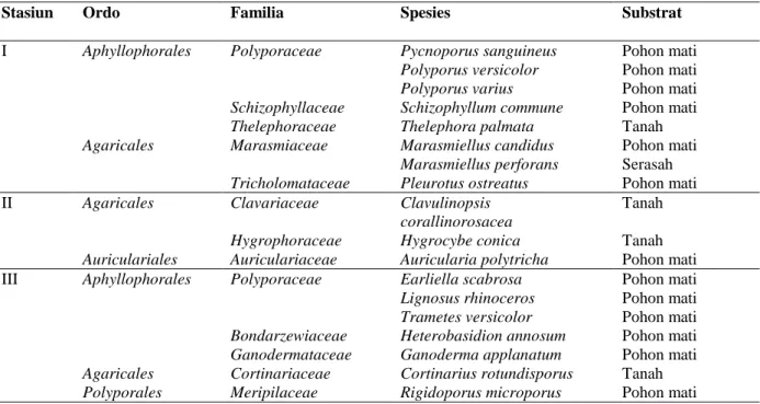 Tabel  2  Jenis-Jenis  Jamur  Makroskopis  kelas  Basidiomycetes  di  Hutan  Bayur,  Kabupaten 