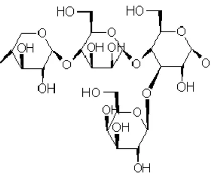 Gambar 2. 4 Struktur Hemiselulosa 