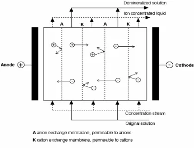 Gambar 2    Mekanisme Proses Pada Elektrodialisis (Mulder, 1991)   