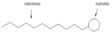 Gambar 1. Skematis yang menggambarkan suatu molekul surfaktan. 
