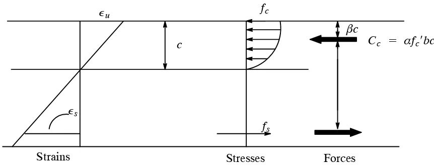 Figure 5.2. Strain, Stress, and Force Diagrams