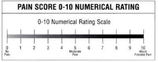 Gambar 5. Numeric rating scale 