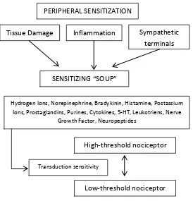 Gambar 1. Mekanisme sensitisasi perifer 