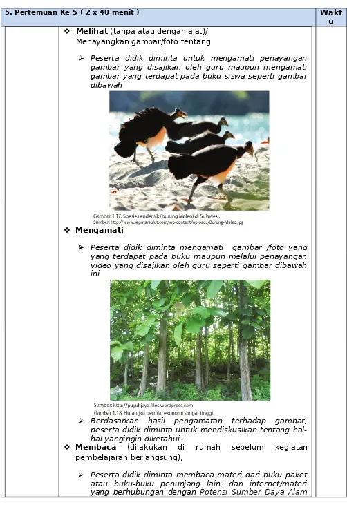 gambar yang disajikan oleh guru maupun mengamatigambar yang terdapat pada buku siswa seperti gambardibawah 