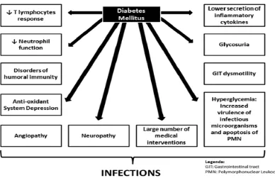 Gambar 2.5. Skema Disfungsi Imun pada Pasien DM.( Casquiero J et al,2012) 