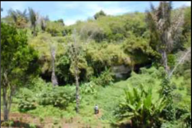 Gambar 1. Loyang Klethon/ Gua Batak,  