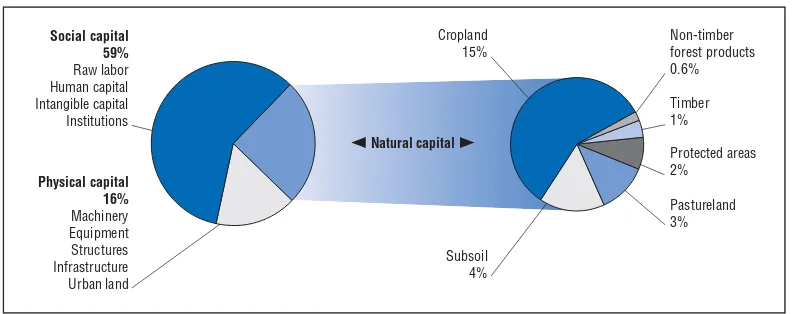 Figure 3.1. Composition of total wealth in low-income countries