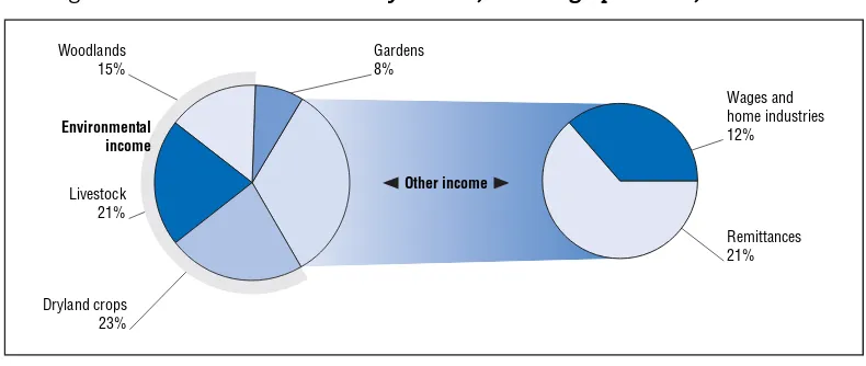 Figure 3.3. Household income by source, Masvingo province, Zimbabwe