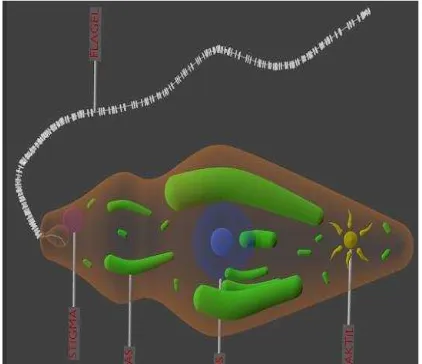 Gambar 1 Bentuk 3D Amoeba 