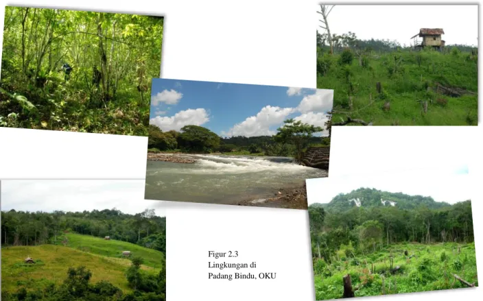 Figur 2.3  Lingkungan di  Padang Bindu, OKU 