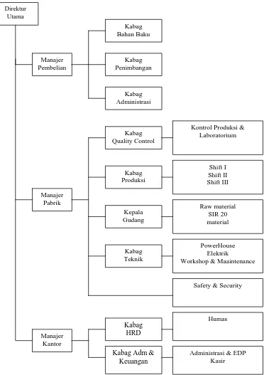 Gambar 2.2. Struktur Organisasi PT. Pantja Surya 
