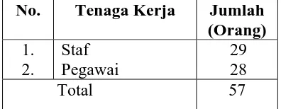 Tabel 2.3. Jumlah Tenaga Kerja Kelompok Tenaga Staf dan Pegawai 