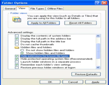 Gambar 5.2  Setting Extensions File