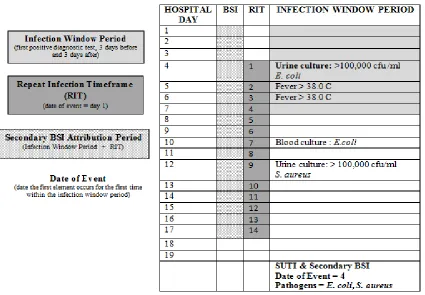 Table 6: Secondary BSI Attribution Period 
