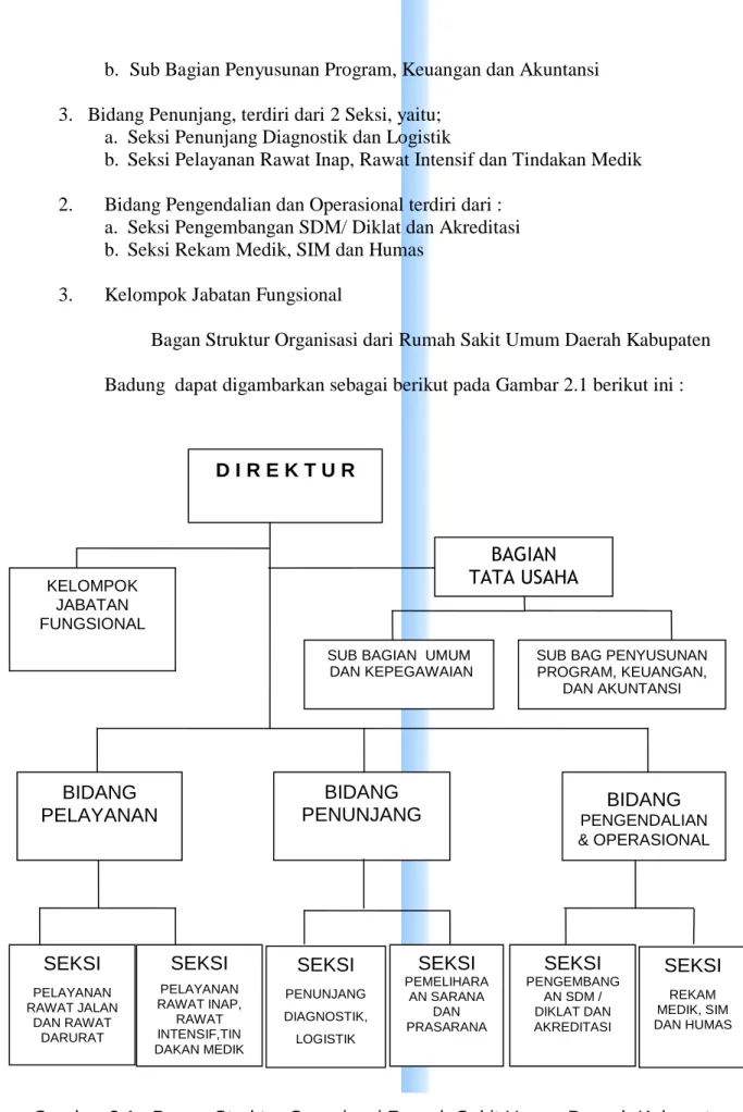 Gambar 2.1.  Bagan Struktur Organisasi Rumah Sakit Umum Daerah Kabupaten  Badung  (Perda Kabupaten Badung Nomor 7 Tahun 2008)