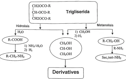 Gambar 30. Pembuatan derivative dari trigliserida 