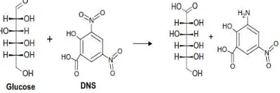 Gambar 3. Reaksi Glukosa dengan Asam 3,5-Dinitrosalisilat (Miloski et al., 2008). 