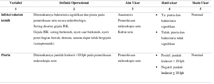 Tabel 3.1 Variabel dan Definisi Operasional Variabel 