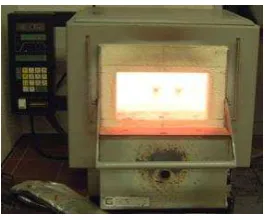 Gambar 3.1. Oven 