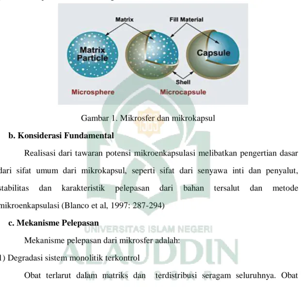 Gambar 1. Mikrosfer dan mikrokapsul  b. Konsiderasi Fundamental 