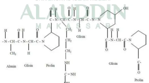 Gambar 7. Struktur Kimia Gelatin (Chaplin, 2006) 