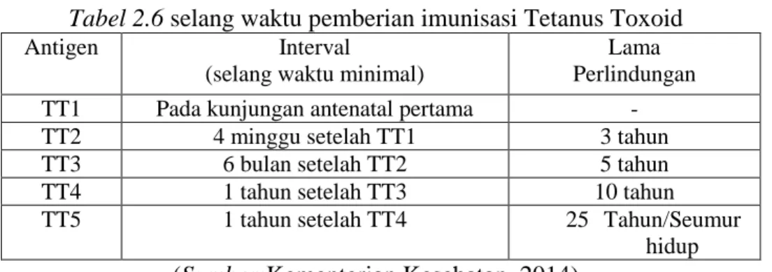 Tabel 2.6 selang waktu pemberian imunisasi Tetanus Toxoid 