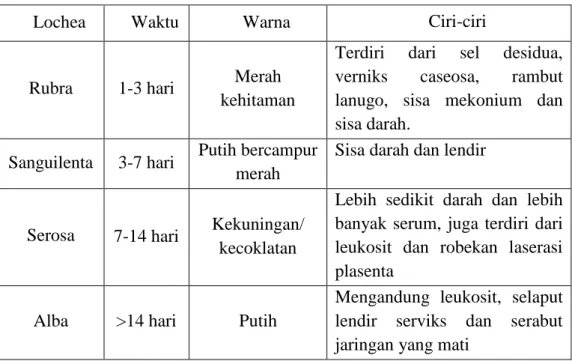 Tabel 2.8 Perbedaan Masing-masing Lochea 