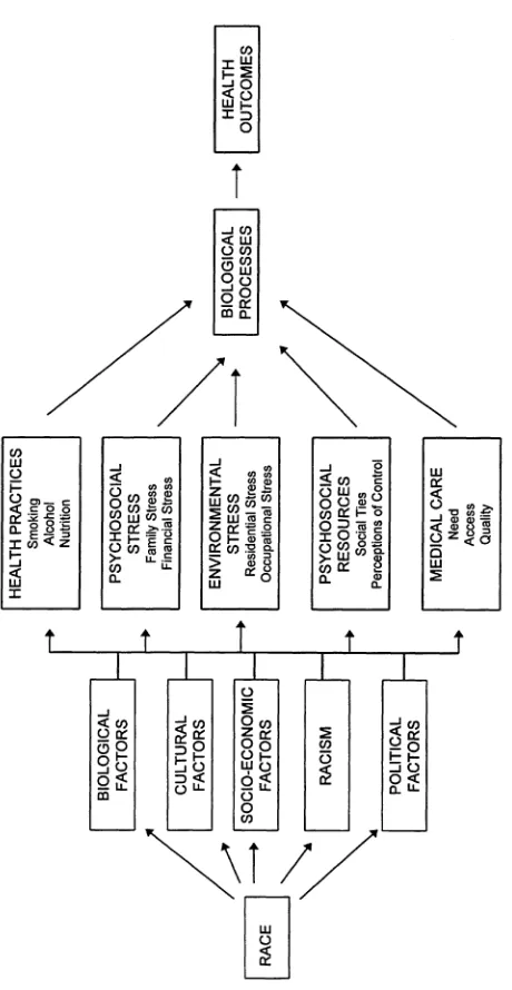 FIGURE 2.1 A framework for understanding the relationship between race andhealth. SOURCE: King and Williams (1995)