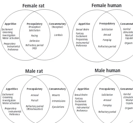 Fig. 1.1 Incentive sequences for human and rat sexualbehaviors. This model provides a conceptual way todenote classes of homologous or analogous behaviorsbetween the species (and sexes)
