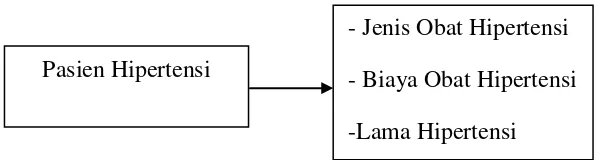 Gambar 3.1 Kerangka Konsep Hubungan Pasien Hipertensi dengan Jenis Obat, Biaya Obat, dan Lama Hipertensi 