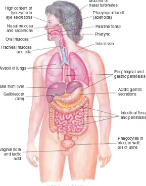 GAMBAR 5-1 membentuk pembatas antara organ-organ dalam dan lingkungan. (Dari Grimes DE:Pembatas yang Meliputi Tubuh