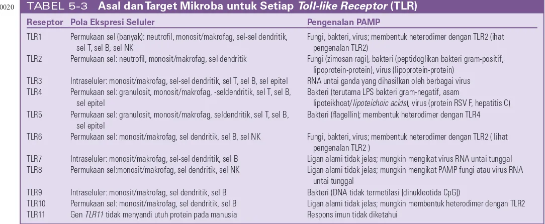 TABEL 5-3 Asal dan Target Mikroba untuk Setiap Toll-like Receptor (TLR)
