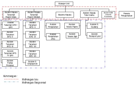 Gambar 2.1. Struktur Organisasi PTPN IV Dolok Ilir 