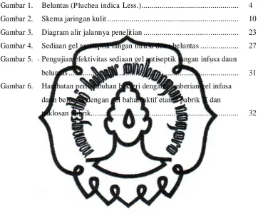 Gambar 1.  Beluntas (Pluchea indica Less.) ...............................................