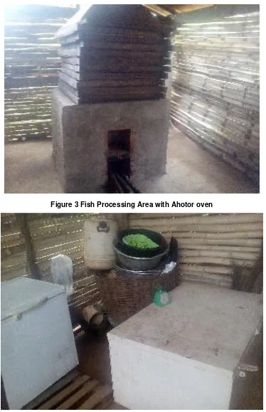 Figure 3 Fish Processing Area with Ahotor oven 