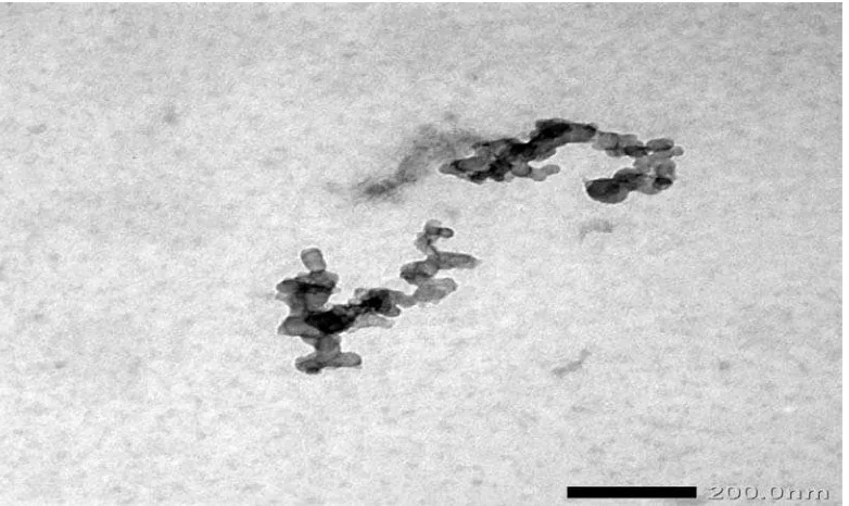 Gambar 4.7  Hasil Nanoserat Selulosa menggunakan TEM  