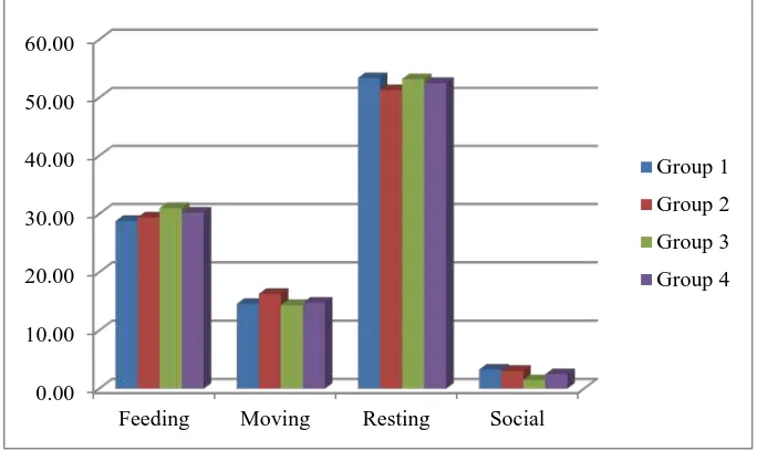 Figure 2: Time budget of daily activities of the target groups of proboscis monkey in Rawa Gelam 