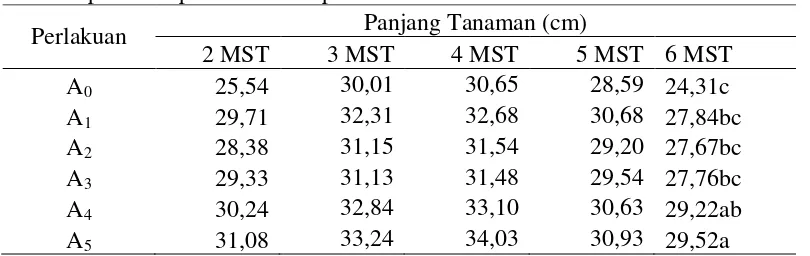 Tabel 1. Rataan panjang tanamanbawang merah umur 2 – 6  MST pada 