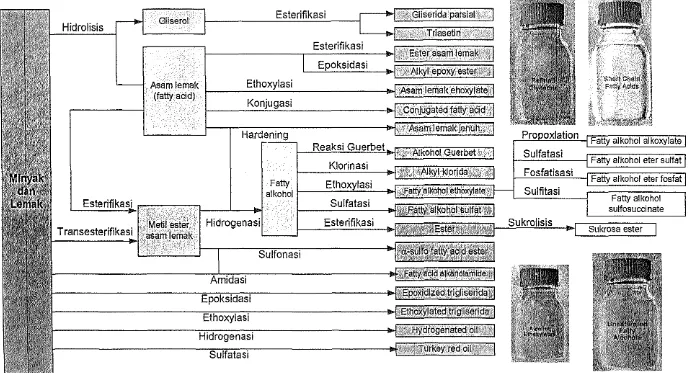 Gambar 10. Diagram Oleokimia Dasar dan Turunannya 