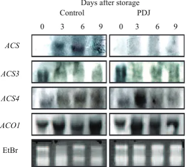 Figure 5  50 activity in apple fruit at  -2ºC and 20ºC.   EC values of DPPH-radical scavenging  