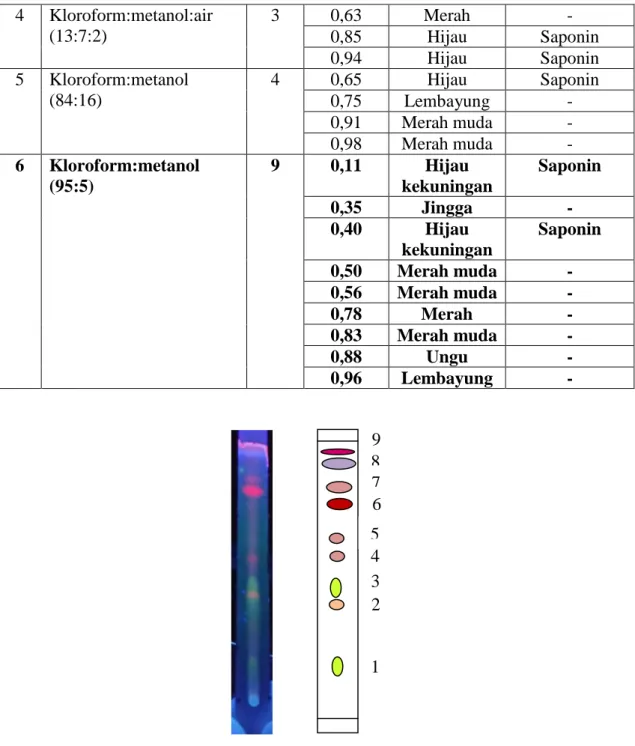 Tabel 4.10 (Lanjutan)  4  Kloroform:metanol:air  (13:7:2)  3  0,63  Merah  -  0,85  Hijau  Saponin  0,94  Hijau  Saponin  5  Kloroform:metanol  (84:16)  4  0,65  Hijau  Saponin  0,75  Lembayung  -  0,91  Merah muda  -  0,98  Merah muda  -  6  Kloroform:met